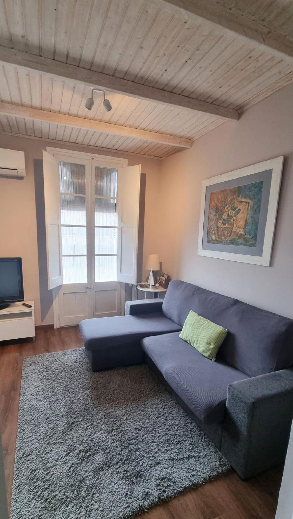 Apartment Sant Francesc Olot Exterior foto